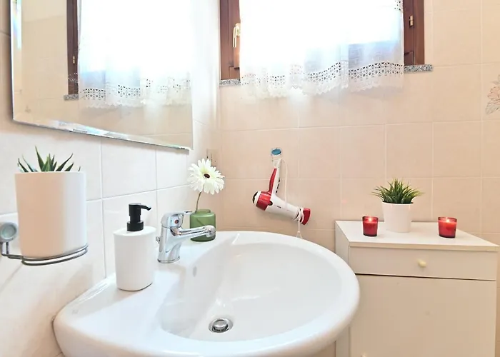 Izzhome Lemon Tree 普拉