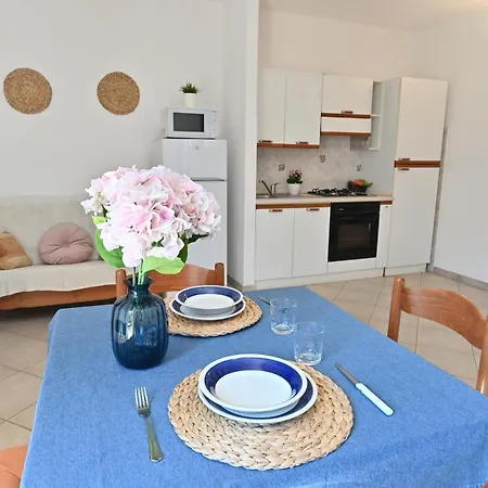 Izzhome Lemon Tree *